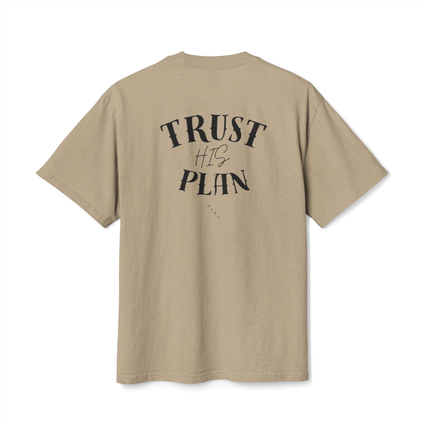 "Trust His Plan" Unisex Faded Tee (LIGHT)